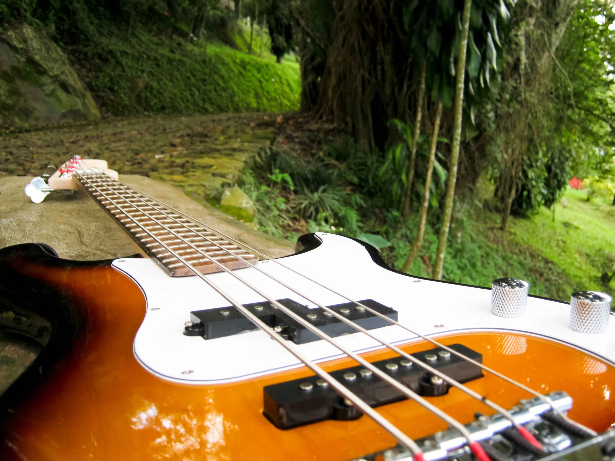 Guitarra
