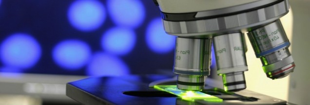Microscopio